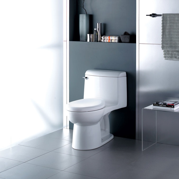 American Standard Champion 4 Toilet with Toilet Seat Elongated Chair